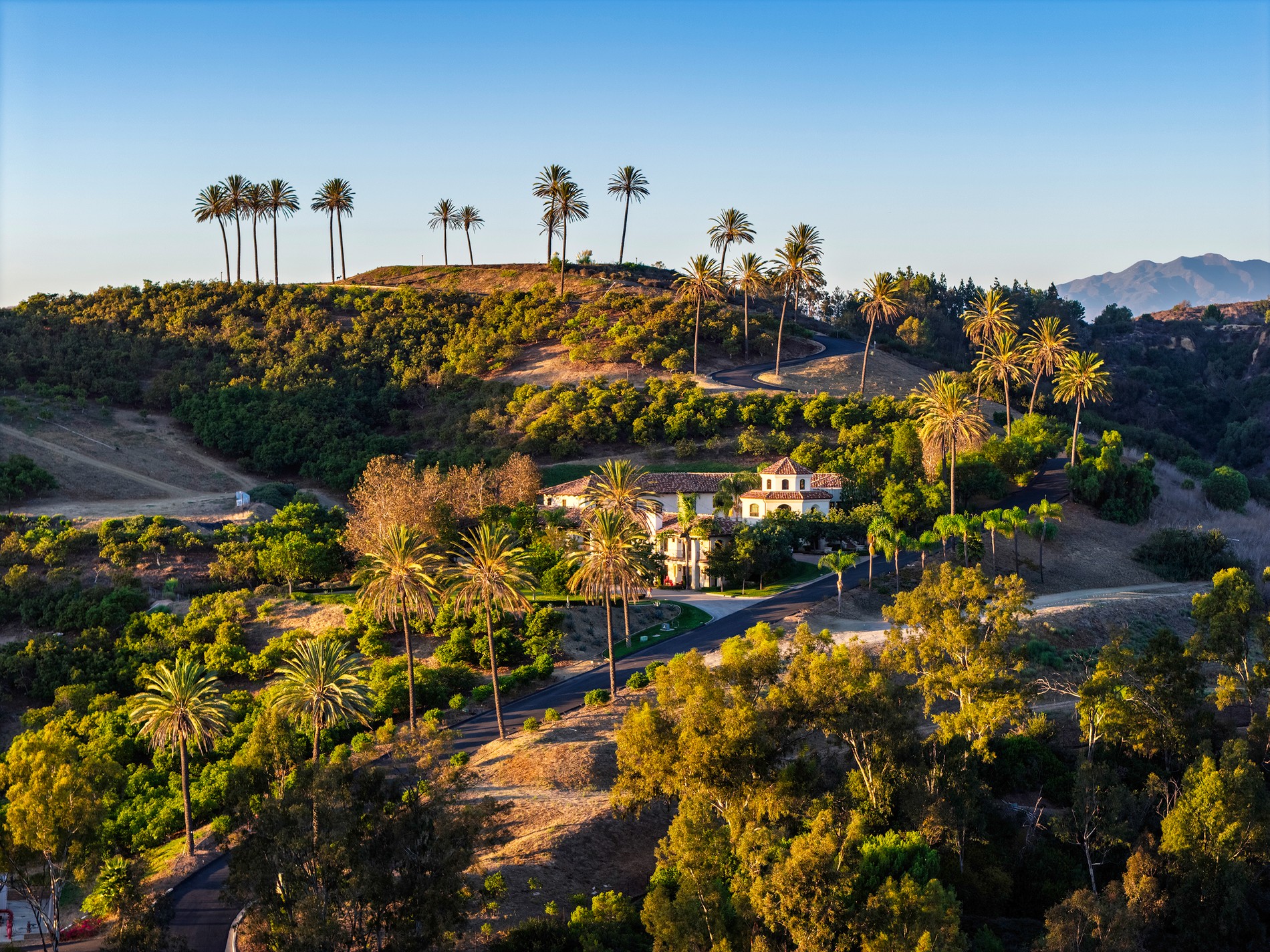 31062 Casa Grande Dr